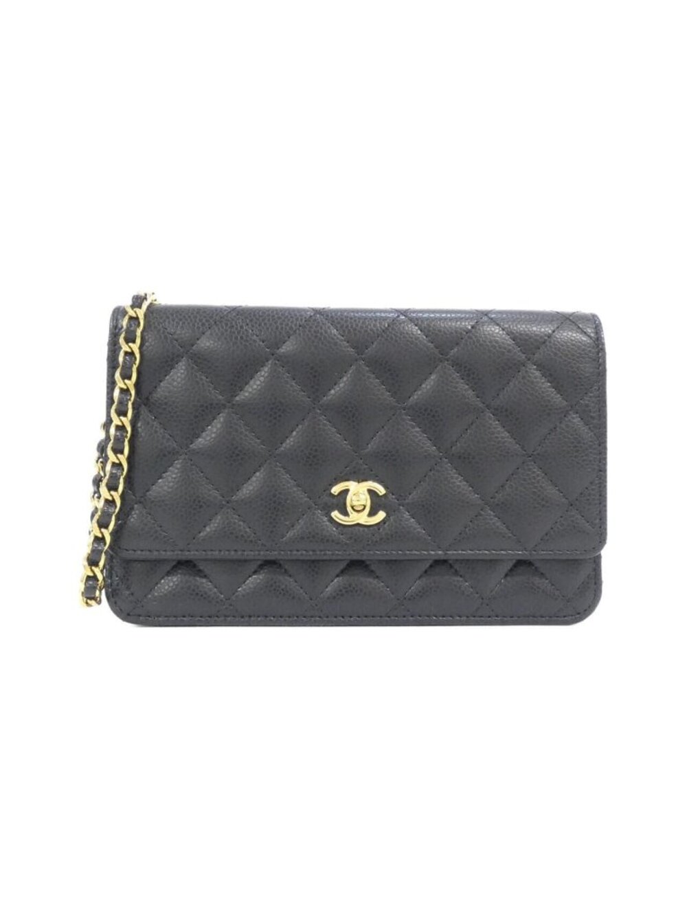 Chanel Chain Wallet Shoulder Bag